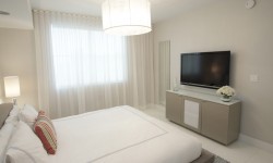 Etiam commodo convallis